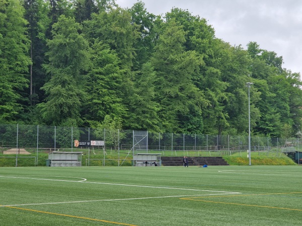 Sportanlage Buechenwald Platz 3 (alt) - Gossau SG