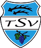 Wappen ehemals TSV Schnait 1911  41368