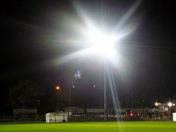 Phyllis Street Reserve - Mt Albert, Auckland