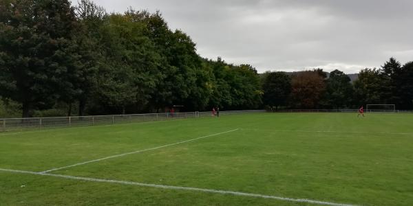 Sportplatz auf der Insel - Detzem