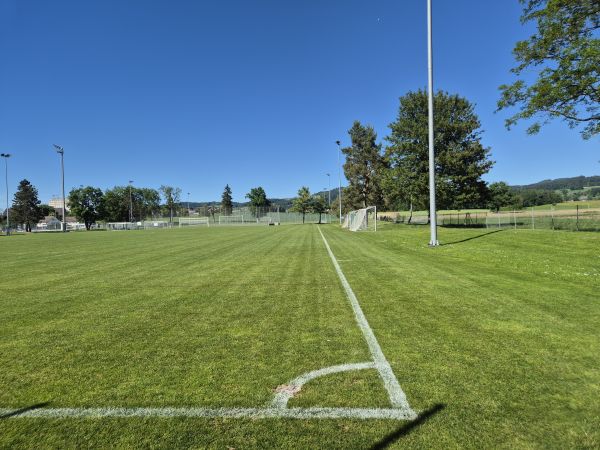 Sportanlage Meierwiesen Platz 2 - Wetzikon