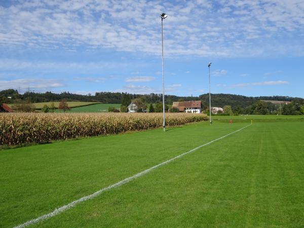 Sportplatz Schlag - Hedingen