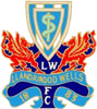 Wappen Llandrndod Wells FC