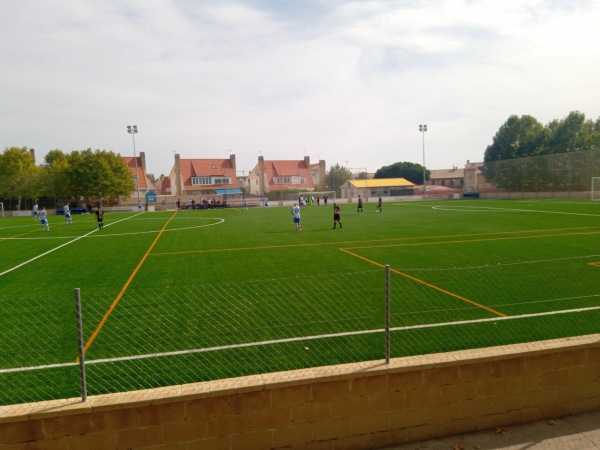 Polideportivo Municipal Torrejón de la Calzada - Torrejón de la Calzada, MD