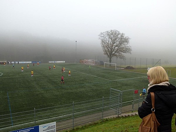 SIBRE Park - Haiger-Steinbach