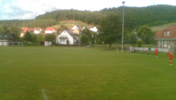 Sportplatz am Löwenherzpark - Dassel-Lauenberg