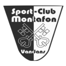 Wappen SCM Vandans  38261