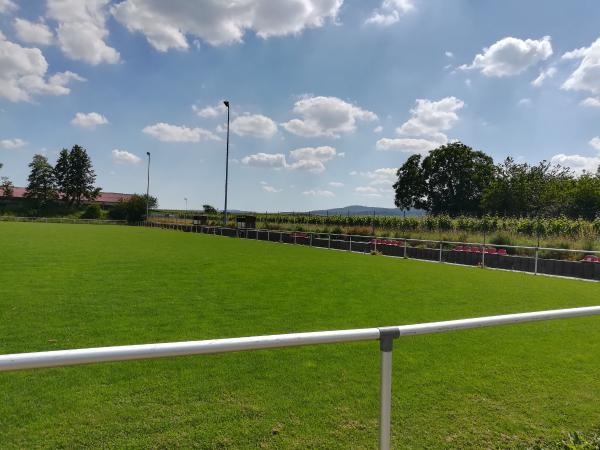 Weisse Hai Arena  - Kirchheim/Weinstraße