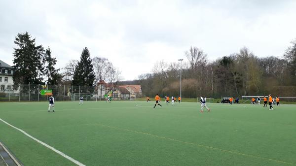 Wingert-Sportpark Platz 2 - Bad Homburg vor der Höhe-Ober-Erlenbach