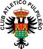 Wappen Atlético Pulpileño  14196