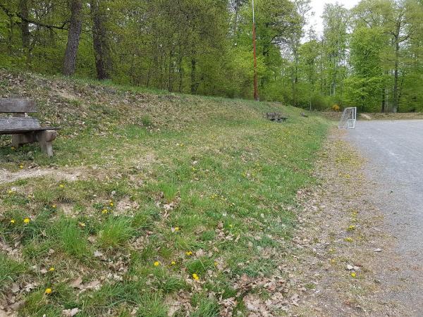 Sportplatz Fellingshausen - Biebertal-Fellingshausen