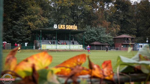 Stadion w Wielka Lipa - Oborniki Śląskie
