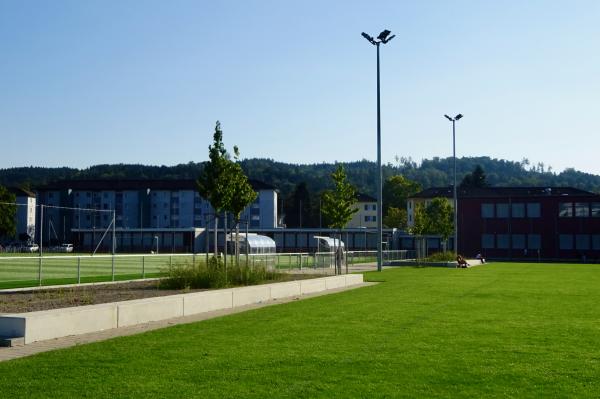 Sportanlage Talgut Platz 1 - Winterthur