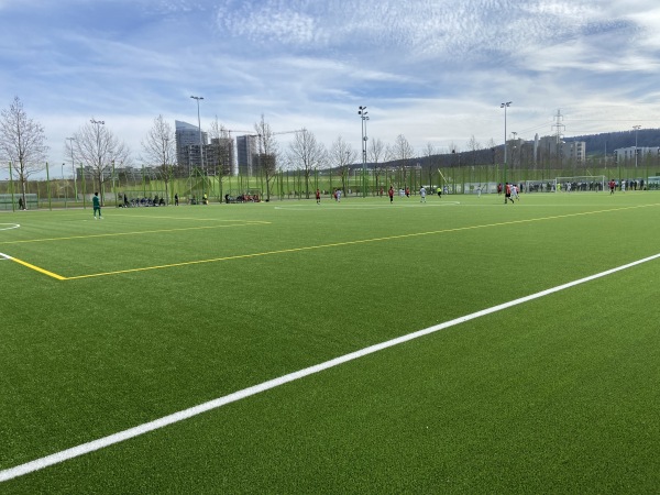 Sportanlage Heerenschürli Platz 15 - Zürich