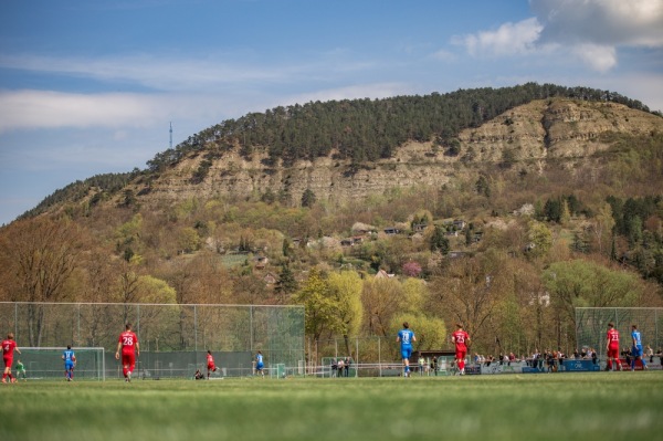 Ernst-Abbe-Sportfeld Platz 6 - Jena