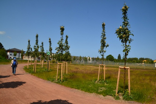 Sportplatz Hanshäger Straße - Zingst