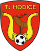 Wappen TJ Hodice