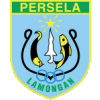 Wappen Persela  12016