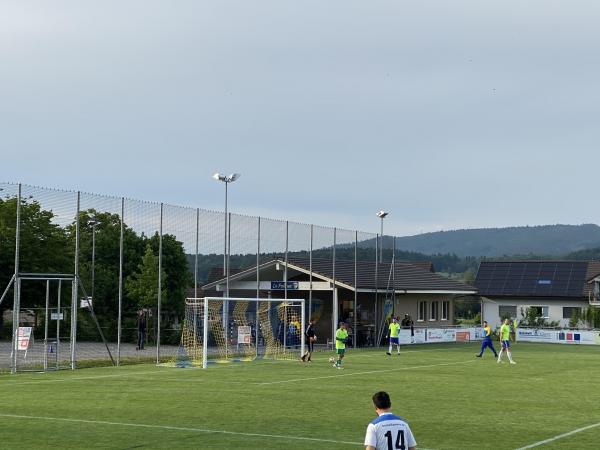 Sportplatz Kleinzelg - Tägerig