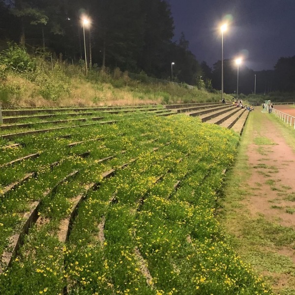Stadion in der Lindersbach - Rodalben