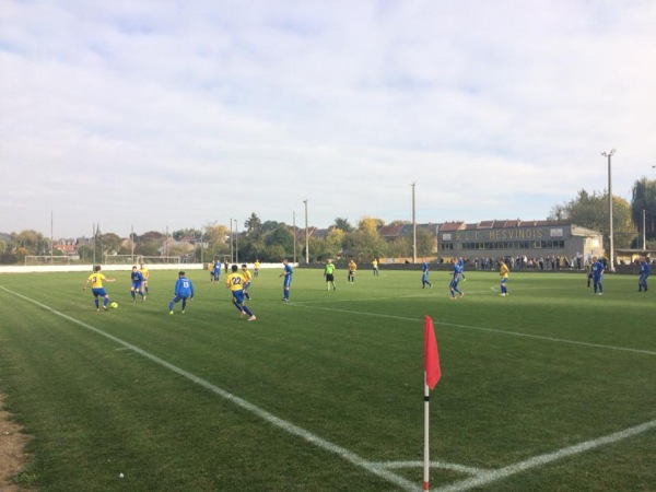 Stade Marcel Canon - Mons-Mesvin