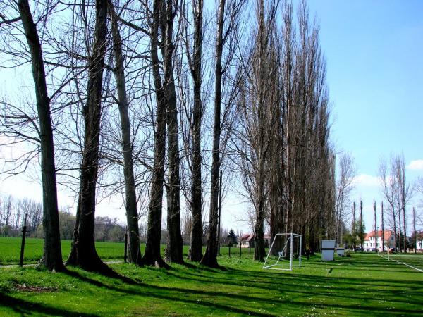 Auensportplatz - Bad Dürrenberg-Goddula