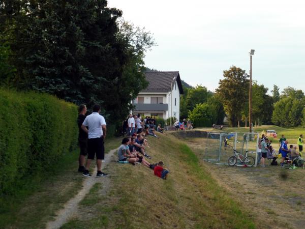 Sportplatz Rodachwiesen - Kronach-Neuses
