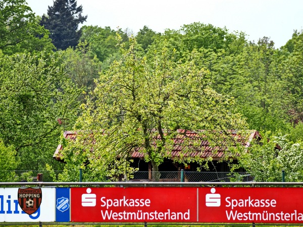 Turo-Stadion - Rosendahl-Darfeld