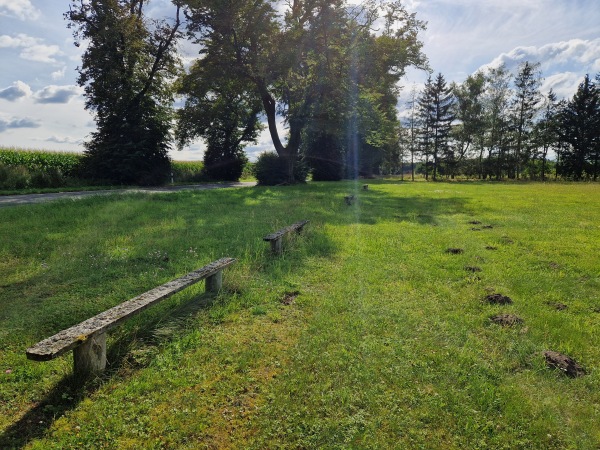 Sportplatz Seeufer - Fincken