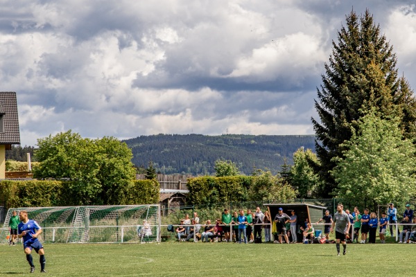 Helmut-Krauß-Sportstätte - Schwarzenberg/Erzgebirge-Bermsgrün
