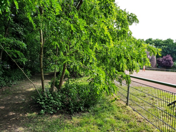 Sportplatz an der Mühle - Neukirchen-Vluyn-Rayen