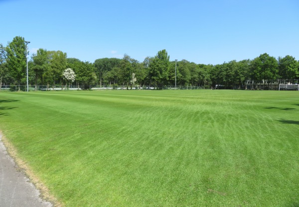 Sportpark Ter Specke veld 9 - Lisse