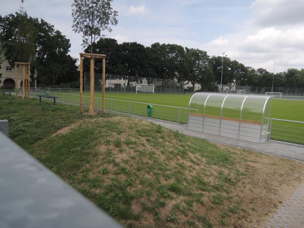 Neuer Rasen