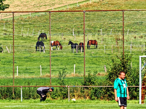 Sportplatz an der Schützenhalle - Balve-Mellen