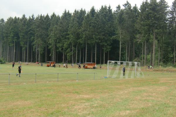 Sportplatz Braunshorn - Braunshorn