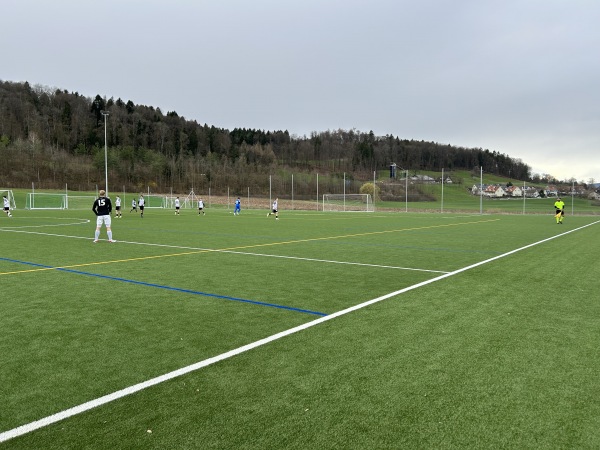 Sportplatz Chlösterli Platz 2 - Urdorf