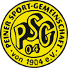 Wappen ehemals Peiner SG 04