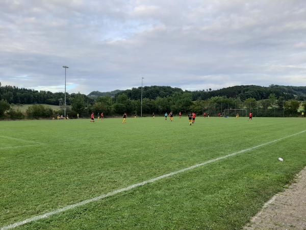 Sportanlage im Buchs Platz 2 - Ottenbach/Württemberg
