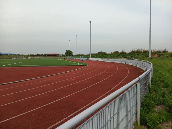 Stadion Am Alten Galgen - Wachenheim/Weinstraße