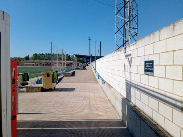 Campo Municipal Diego Mateo Zarra - Talavera de la Reina, CM