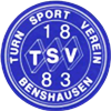 Wappen TSV 1883 Benshausen  68206