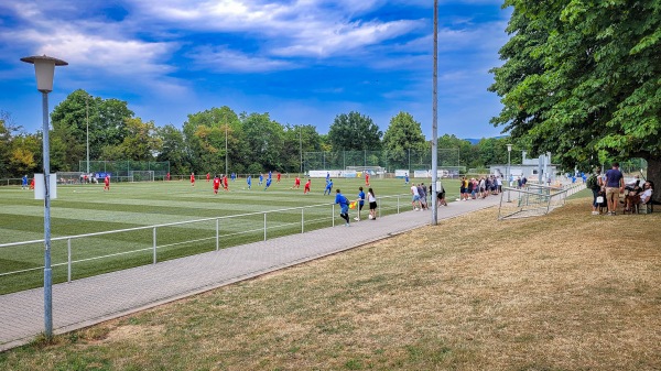 Sportzentrum Süd Platz 3 - Heidelberg-Kirchheim