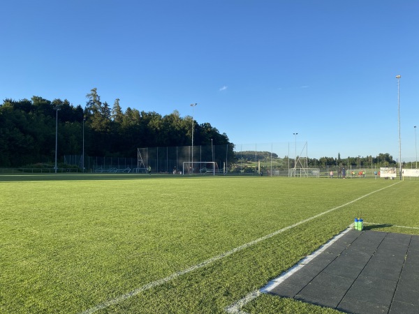 Sportanlage Rolli Platz 2 - Seuzach