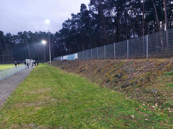 Waldstadion Nebenplatz - Erlenbach/Main