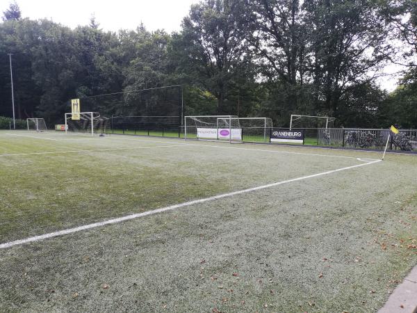 Sportpark De Pinkenberg veld 1-VVO - Rozendaal