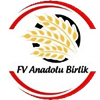 Wappen FV Anadolu Birlik 2022 Unnau  120219