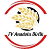 Wappen FV Anadolu Birlik 2022 Unnau