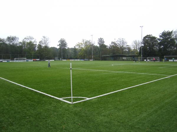 Sportpark Brasserskade veld 9 - Concordia - Delft
