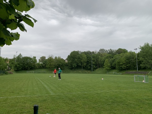 SMR-Arena Nebenplatz 1 - Buchbach