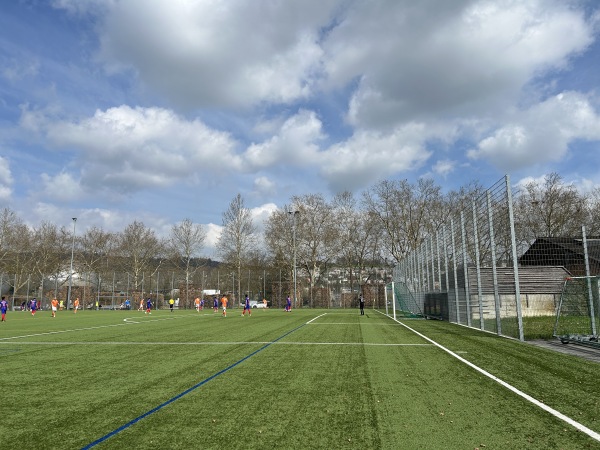 Sportanlage Juchhof 2 Platz 6 - Schlieren